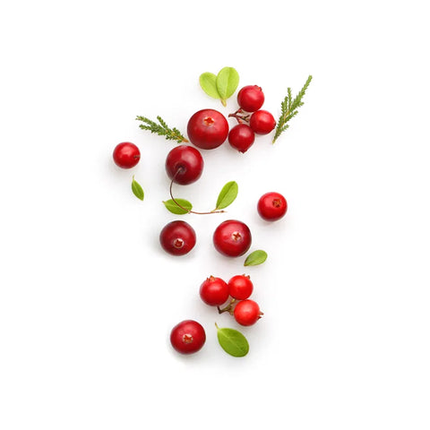 Cranberry