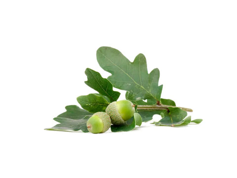 French oakwood extract